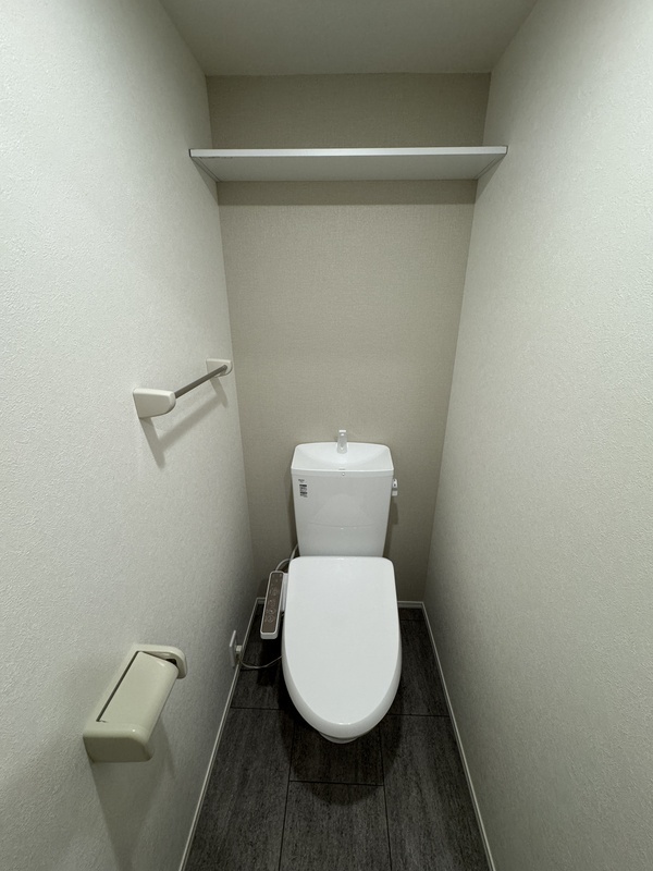 ルミナテラス上町台 401 トイレ