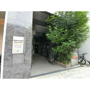 アクアプレイス南堀江 801 玄関