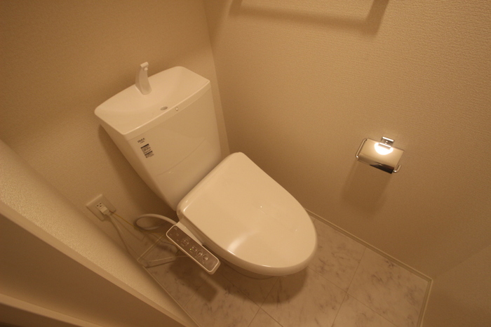 D-room川岸町 301 トイレ