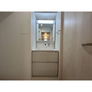 ジーグランデ九条 0301 洗面所