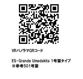 ＥＳ－Ｇｒａｎｄｅ　Ｕｍｅｄａｋｉｔａ 0601 その他