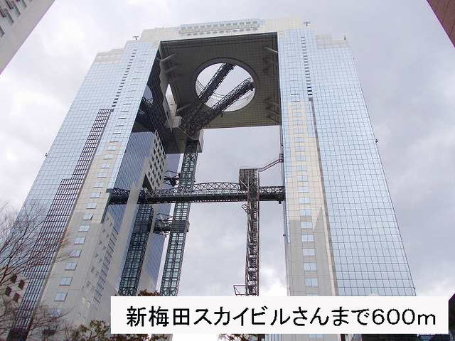 ｂｒｉｓａ ｆｅｌｉｚ 501 その他