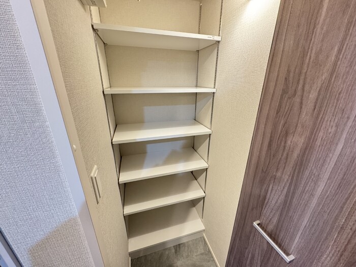 グランセジュール大国町 502 収納