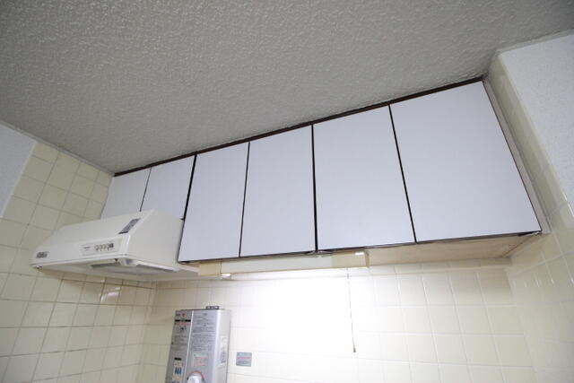 第二博宝マンション(ダイニハクホウマンション) B301 リビング