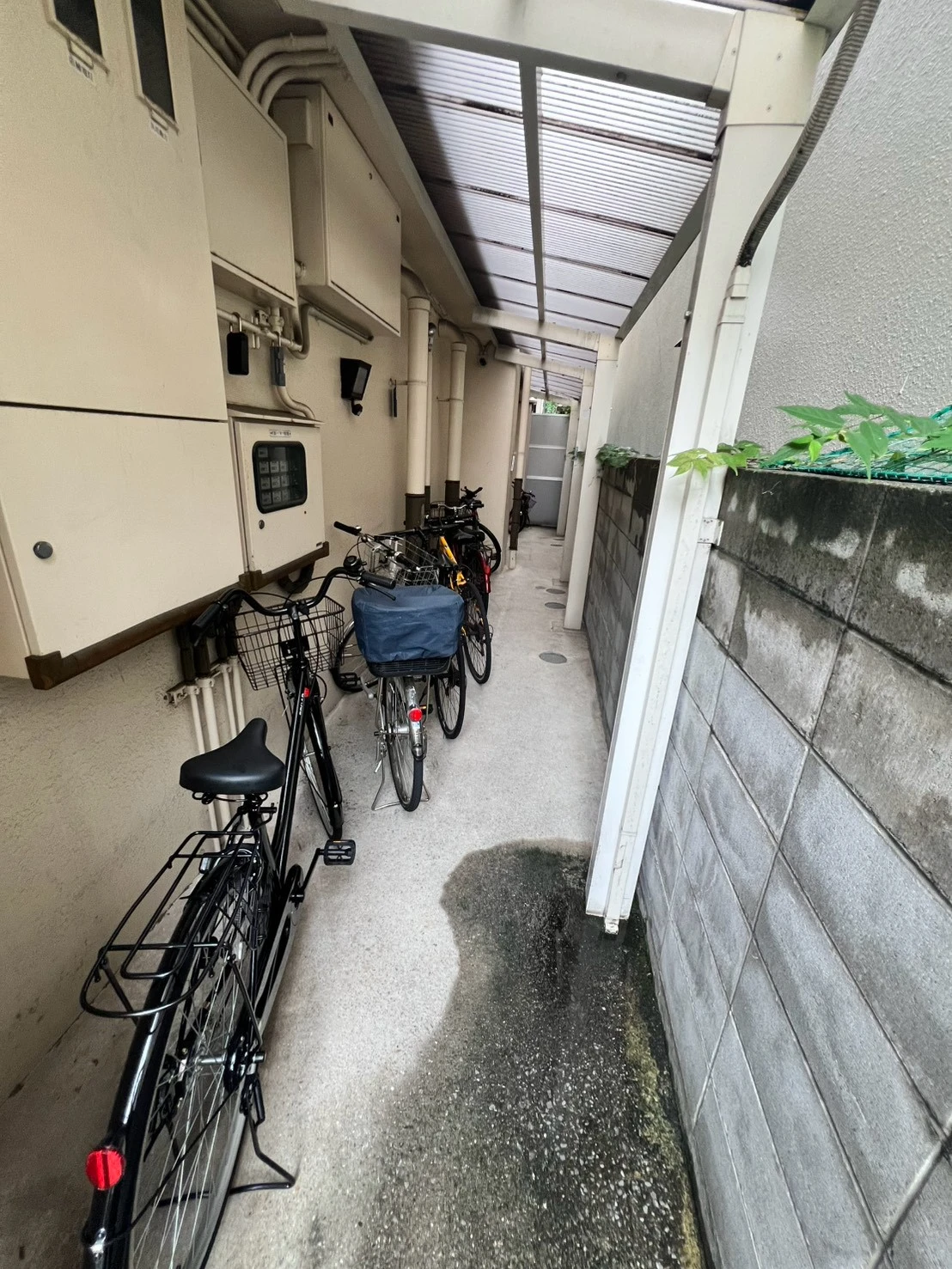 プティソレイユ 303 その他共有部分