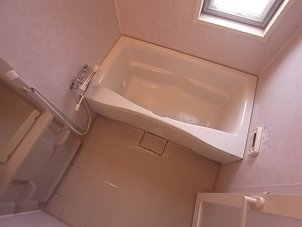 パレス東洋上甲子園 901 浴室