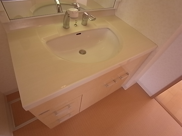 パレス東洋上甲子園 901 洗面所