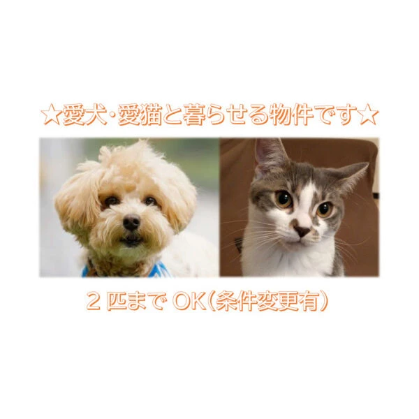 GROOVE上甲子園レジデンス 101 その他