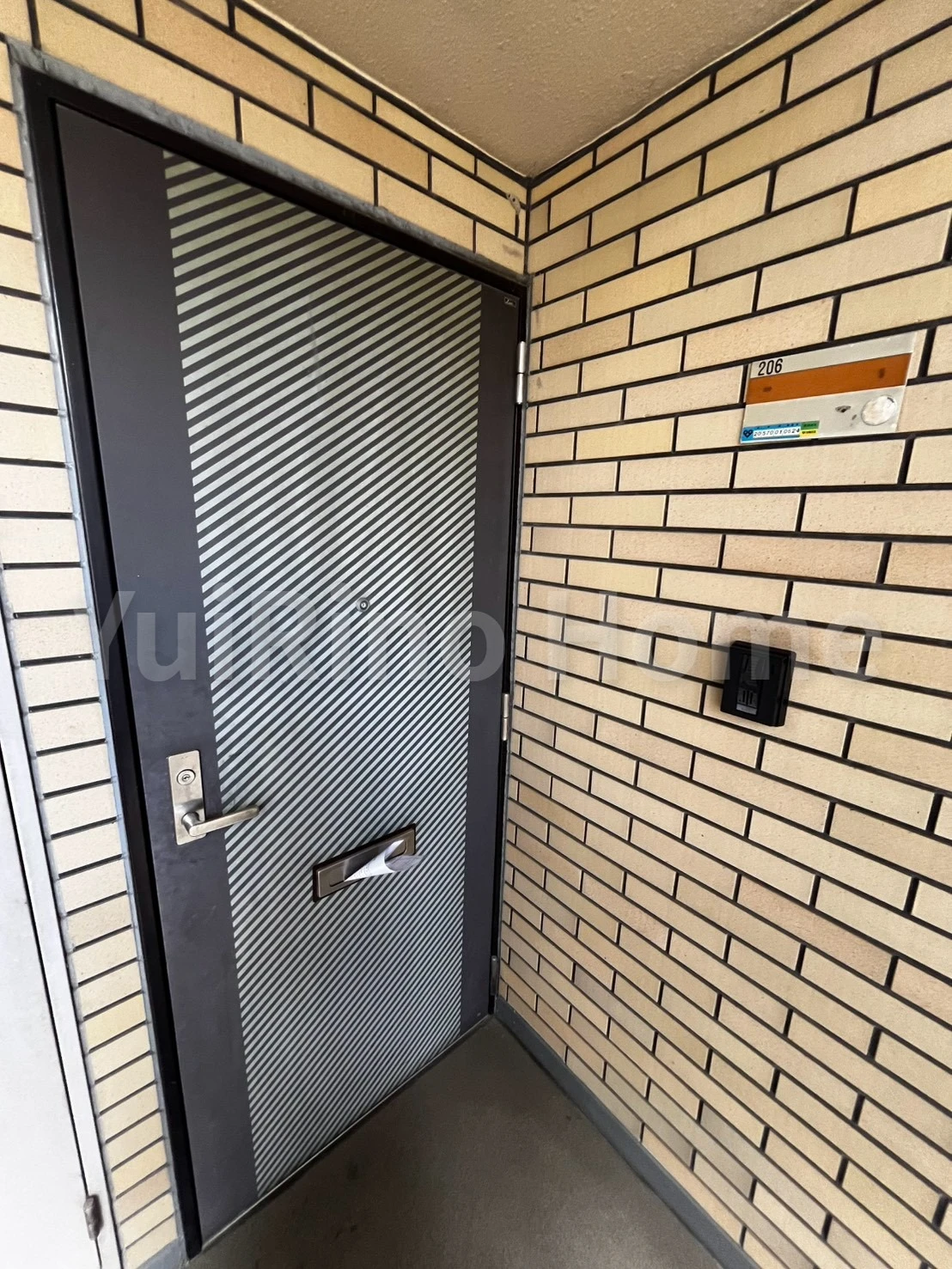 戎グリーンハイツ 206 玄関