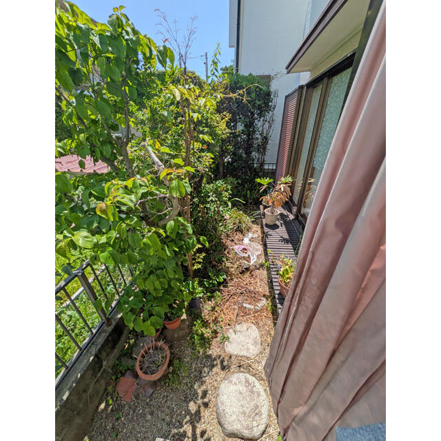 西宮市老松町住宅 0 その他