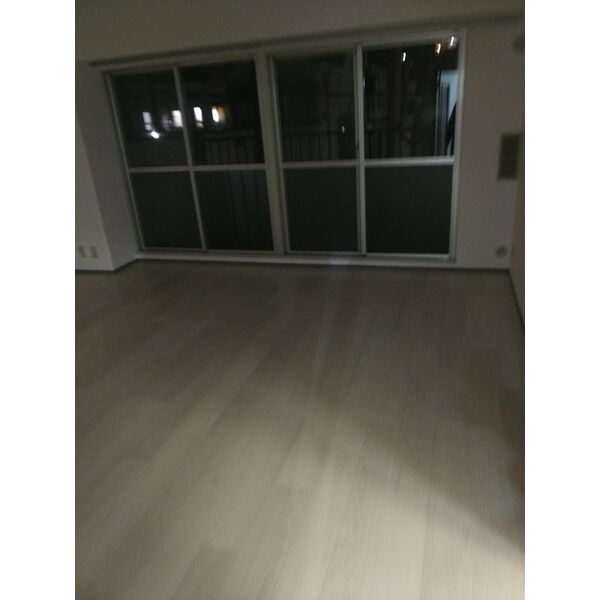 フェルザ西宮(旧:ネオハイツ西宮) 205 リビング