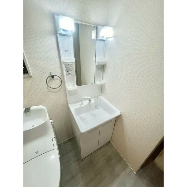 villa de naruo 303 洗面所