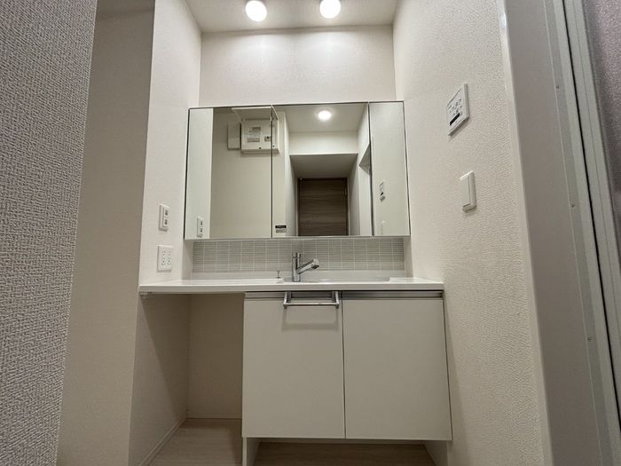Maison de 青木 103 洗面所