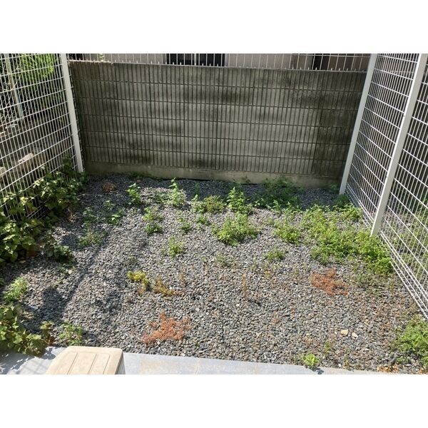 ベルエアー江上 102 庭