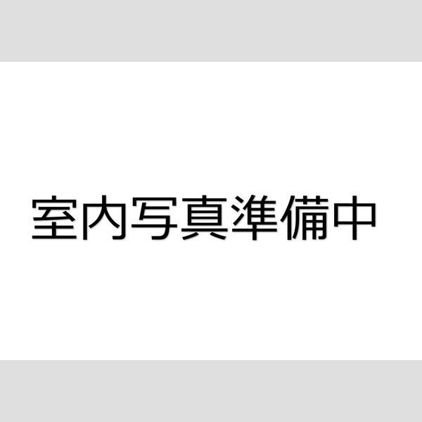 河内メゾン 202 その他