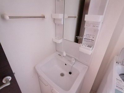 レオネクストマインジマー敷島 203 洗面所