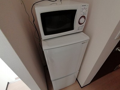 レオネクストマインジマー敷島 203 その他設備