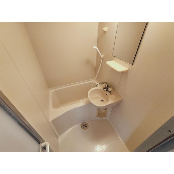 ステラハウス38 501 浴室