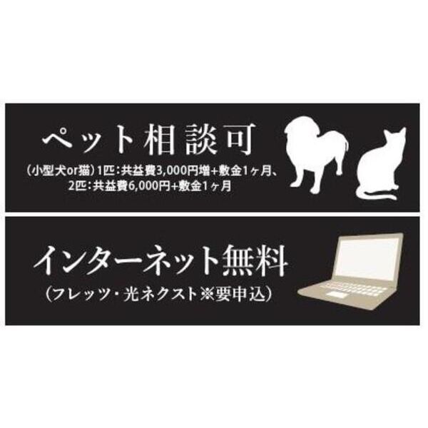 パークシュロス芦屋 201 その他
